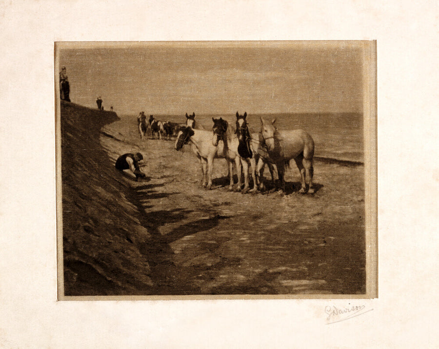 'Ring Horses', 1898. Art Print - Science Museum Shop