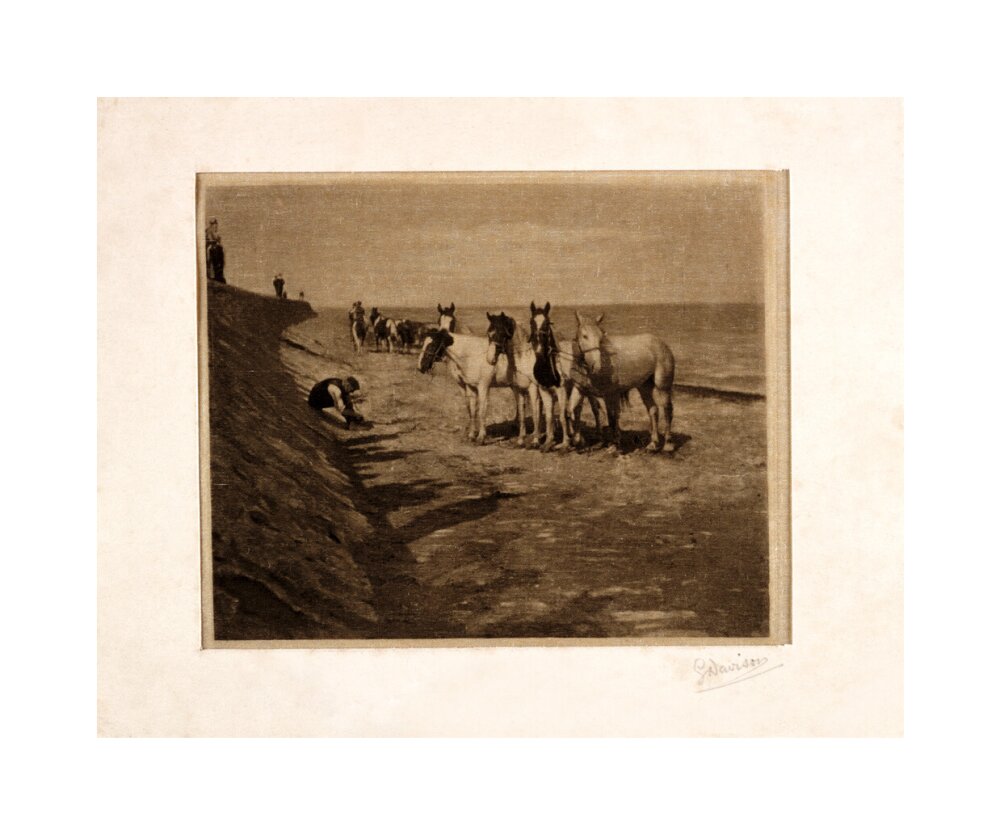 'Ring Horses', 1898. unstretched canvas medium none Art Print - Science Museum Shop