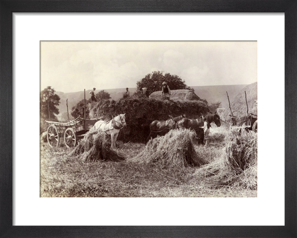 Harvest, c 1890. art print extra small black Art Print - Science Museum Shop