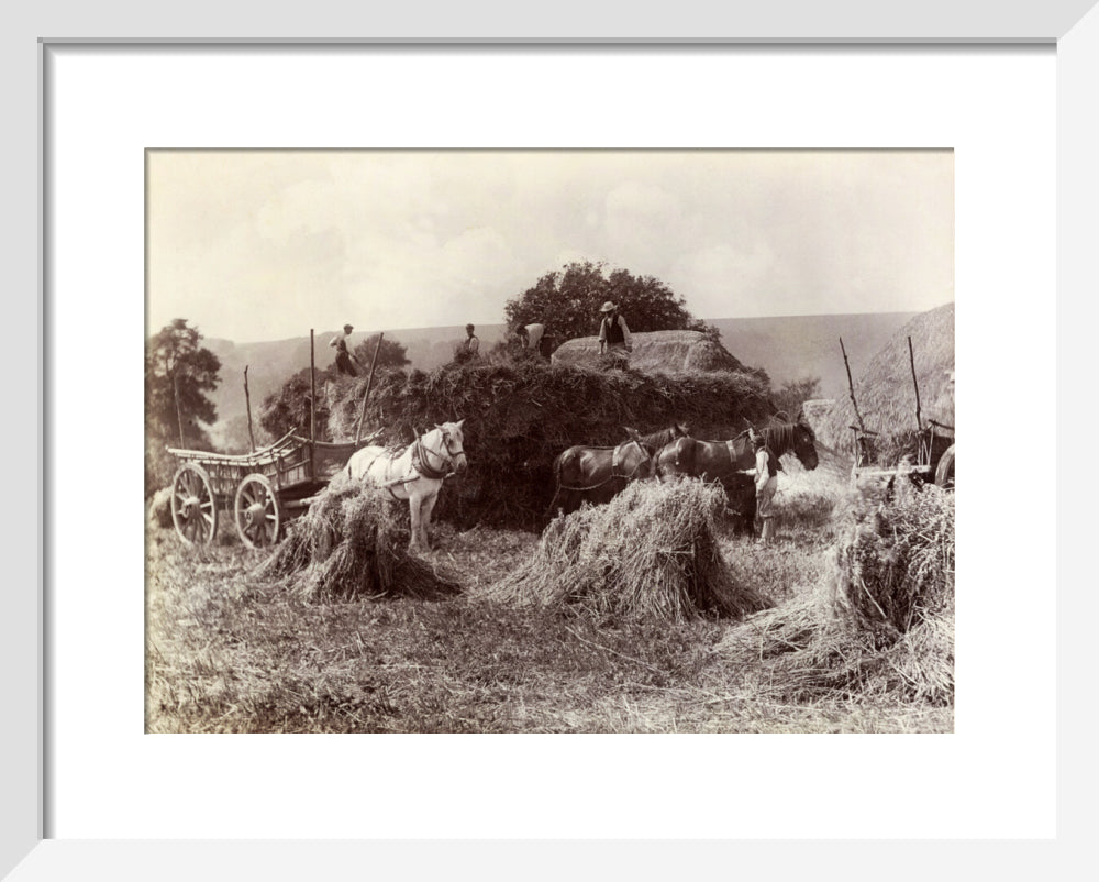 Harvest, c 1890. art print extra small white Art Print - Science Museum Shop