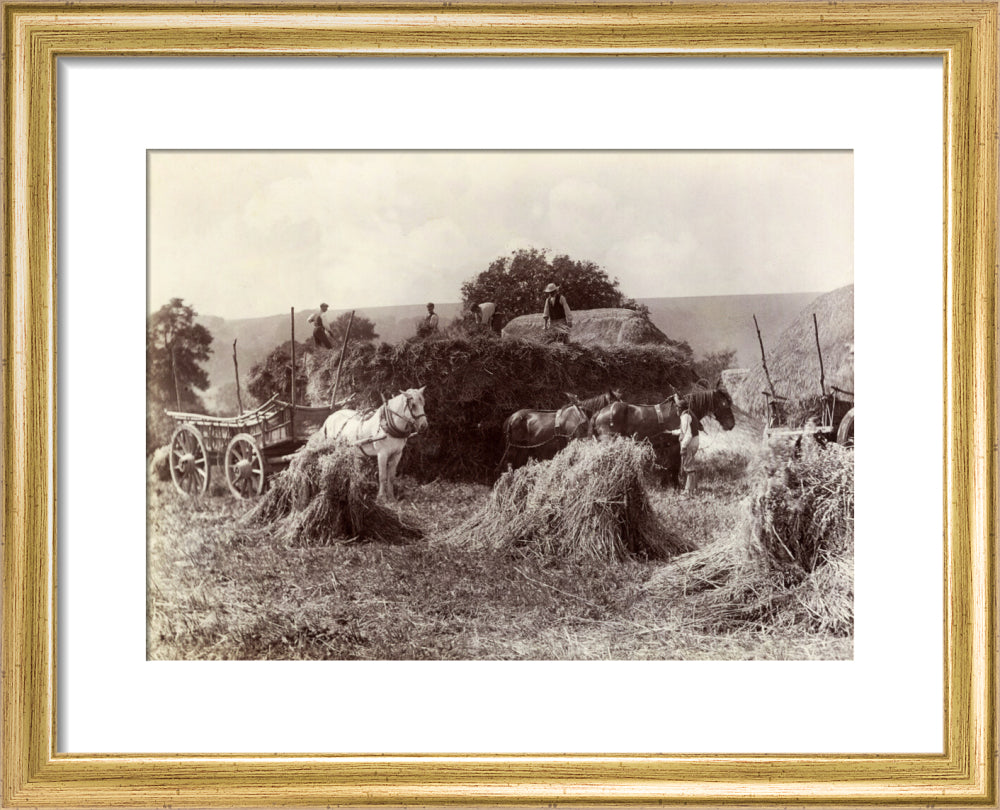 Harvest, c 1890. art print extra small gold Art Print - Science Museum Shop