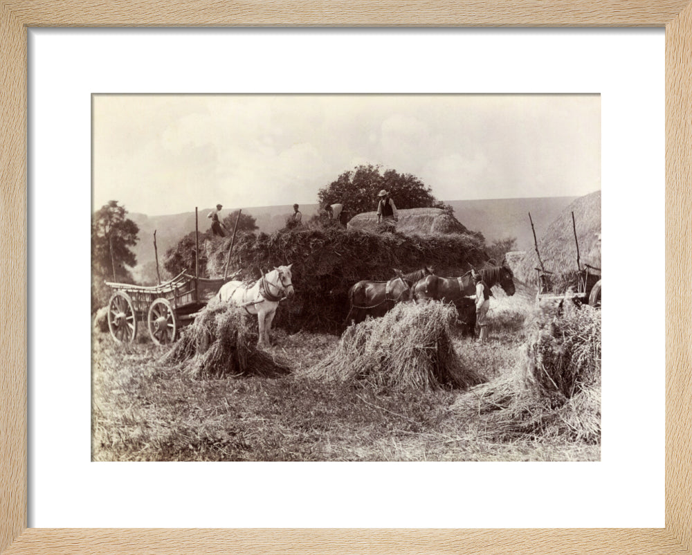 Harvest, c 1890. art print extra small natural Art Print - Science Museum Shop