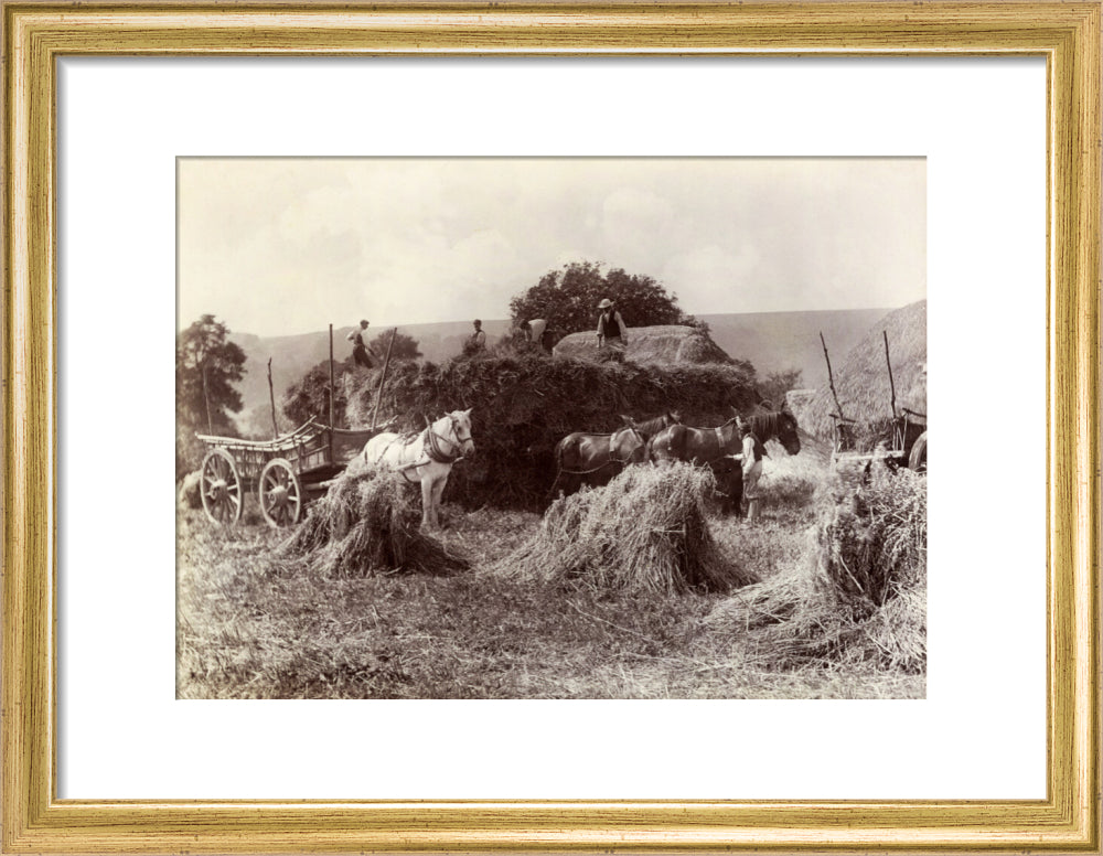 Harvest, c 1890. art print small gold Art Print - Science Museum Shop
