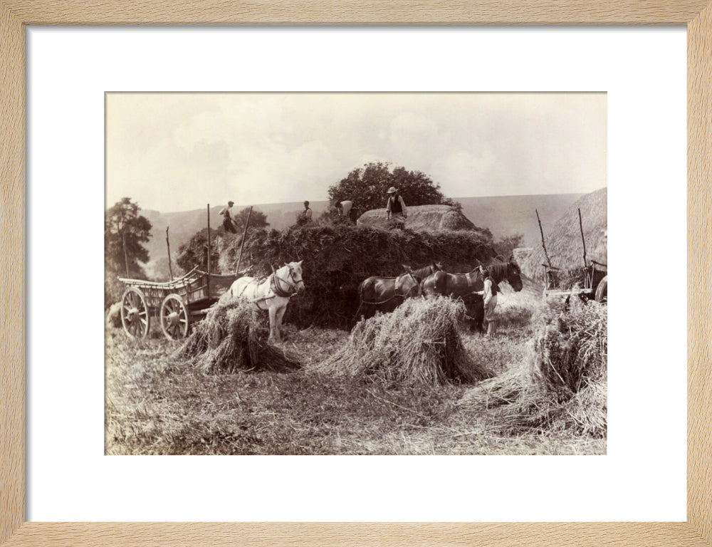 Harvest, c 1890. art print small natural Art Print - Science Museum Shop