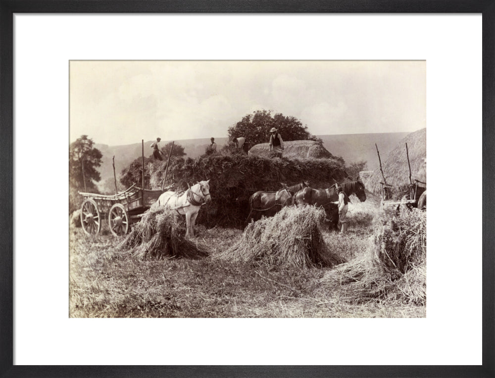 Harvest, c 1890. art print medium black Art Print - Science Museum Shop