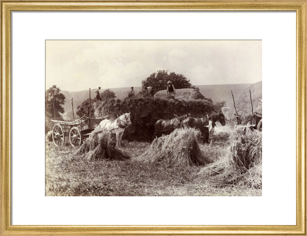Harvest, c 1890. art print medium gold Art Print - Science Museum Shop