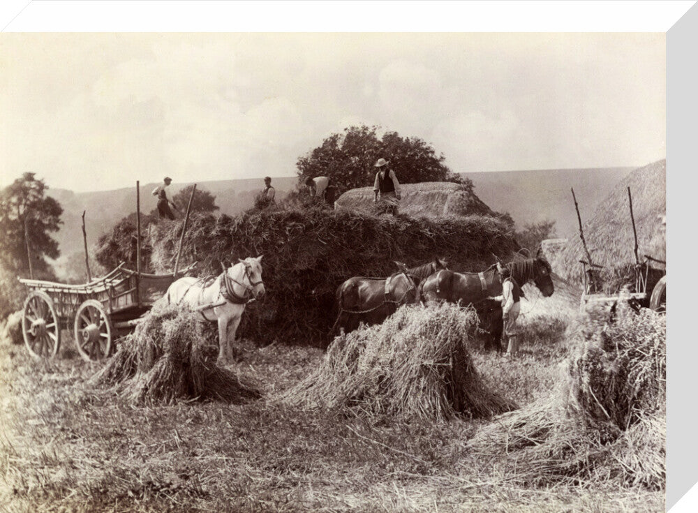 Harvest, c 1890. stretched canvas medium none Art Print - Science Museum Shop