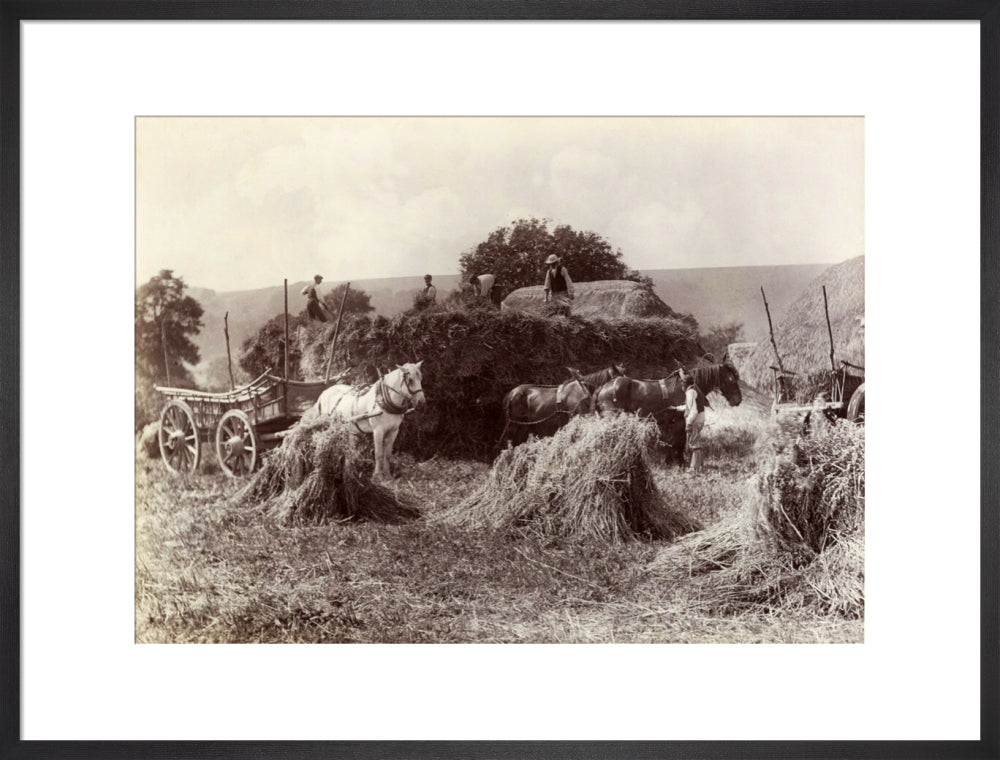 Harvest, c 1890. art print large black Art Print - Science Museum Shop