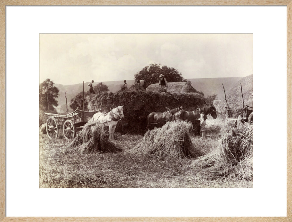 Harvest, c 1890. art print large natural Art Print - Science Museum Shop