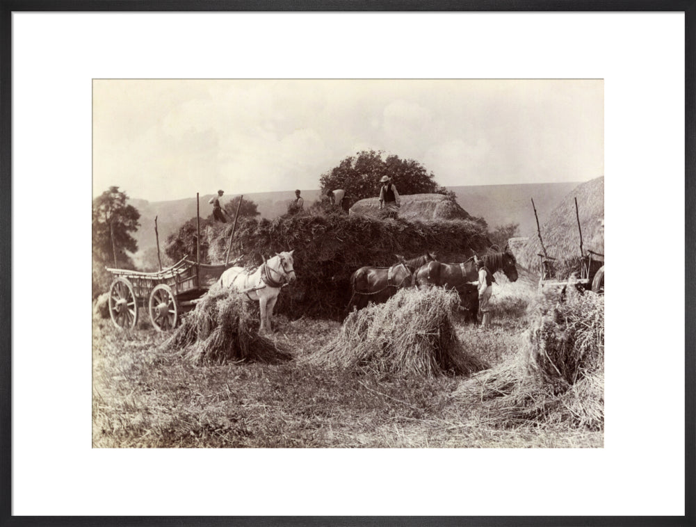 Harvest, c 1890. art print extra large black Art Print - Science Museum Shop