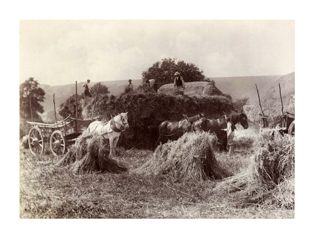Harvest, c 1890. unstretched canvas extra large none Art Print - Science Museum Shop