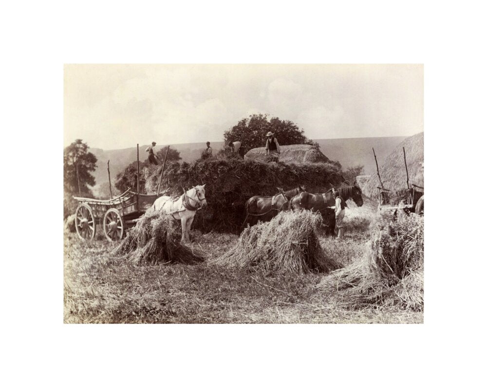 Harvest, c 1890. unstretched canvas small none Art Print - Science Museum Shop