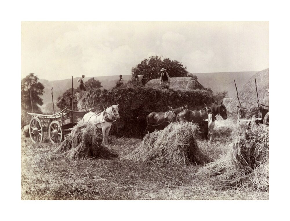 Harvest, c 1890. unstretched canvas large none Art Print - Science Museum Shop