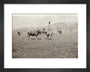 On the Banks of the Black River, about 80 versts from Gagra: The Cattle of the Country art print extra small black Art Print - Science Museum Shop