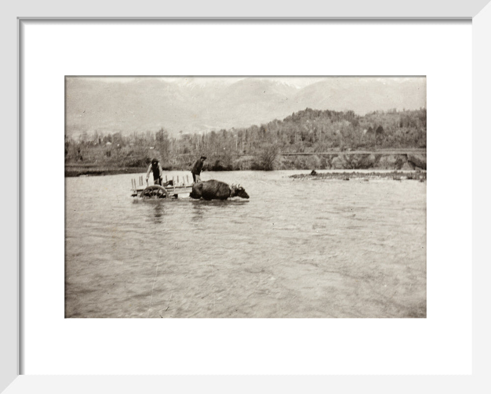 Looking Downstream art print extra small white Art Print - Science Museum Shop