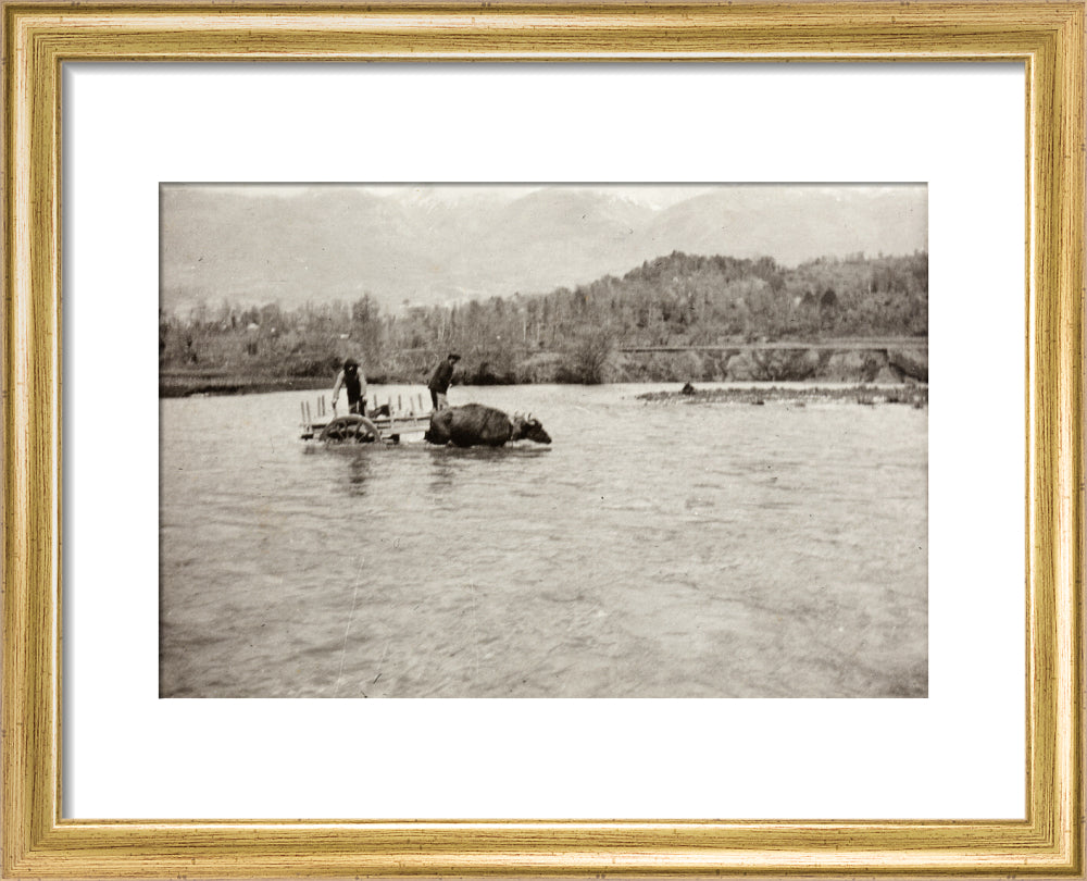 Looking Downstream art print extra small gold Art Print - Science Museum Shop