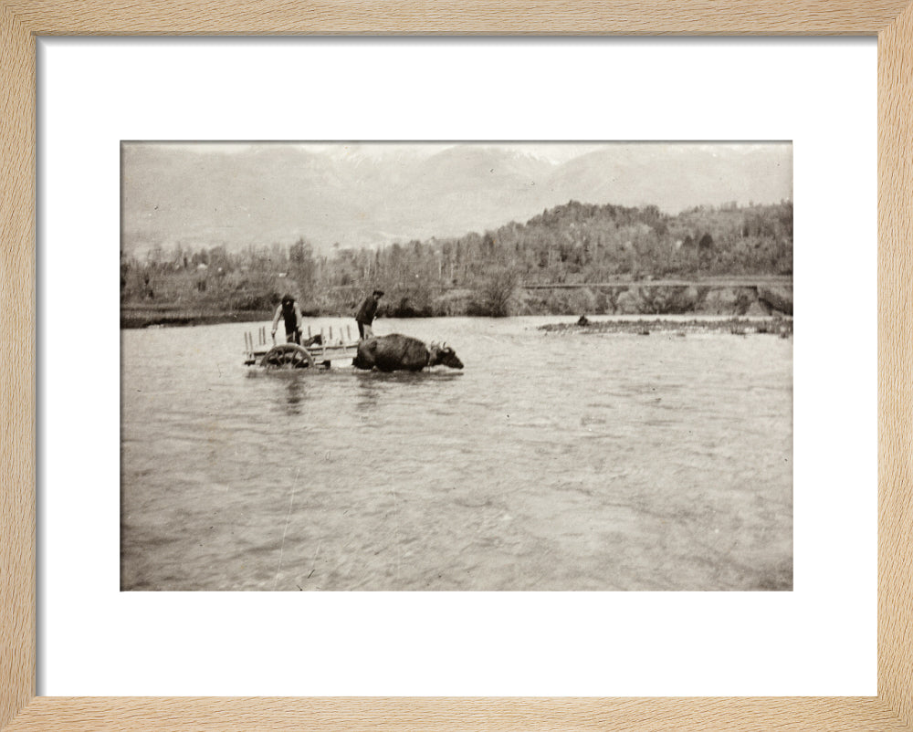 Looking Downstream art print extra small natural Art Print - Science Museum Shop