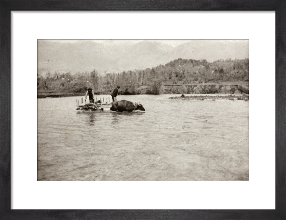 Looking Downstream art print small black Art Print - Science Museum Shop