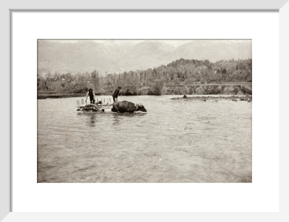 Looking Downstream art print small white Art Print - Science Museum Shop