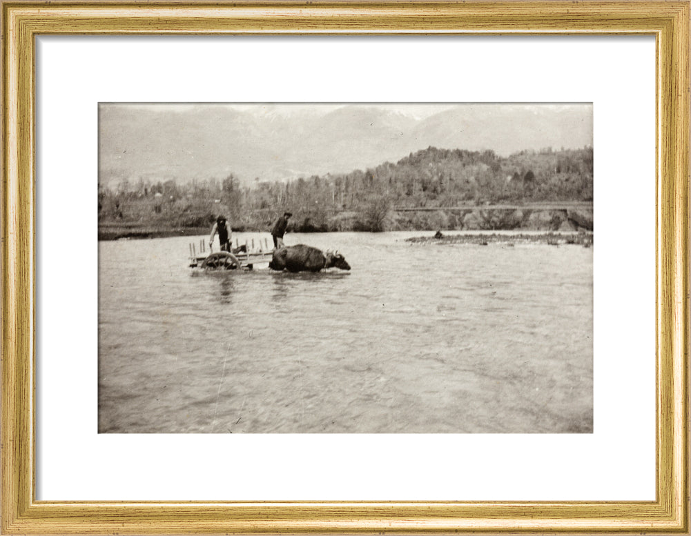 Looking Downstream art print small gold Art Print - Science Museum Shop