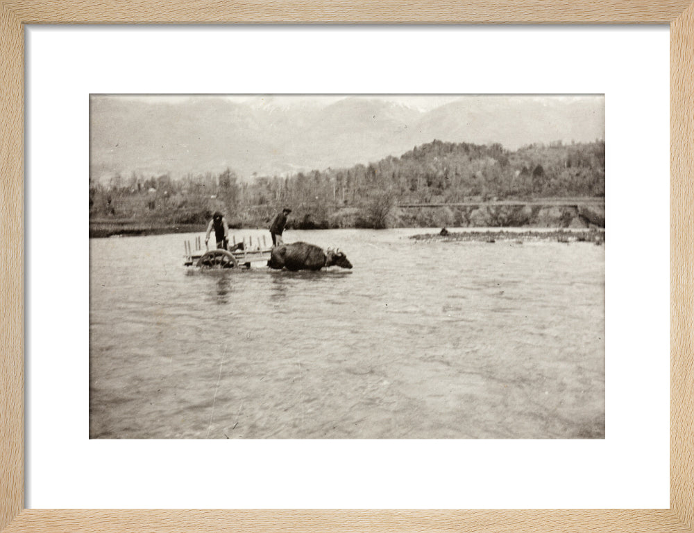 Looking Downstream art print small natural Art Print - Science Museum Shop