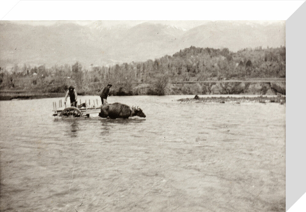 Looking Downstream stretched canvas small none Art Print - Science Museum Shop