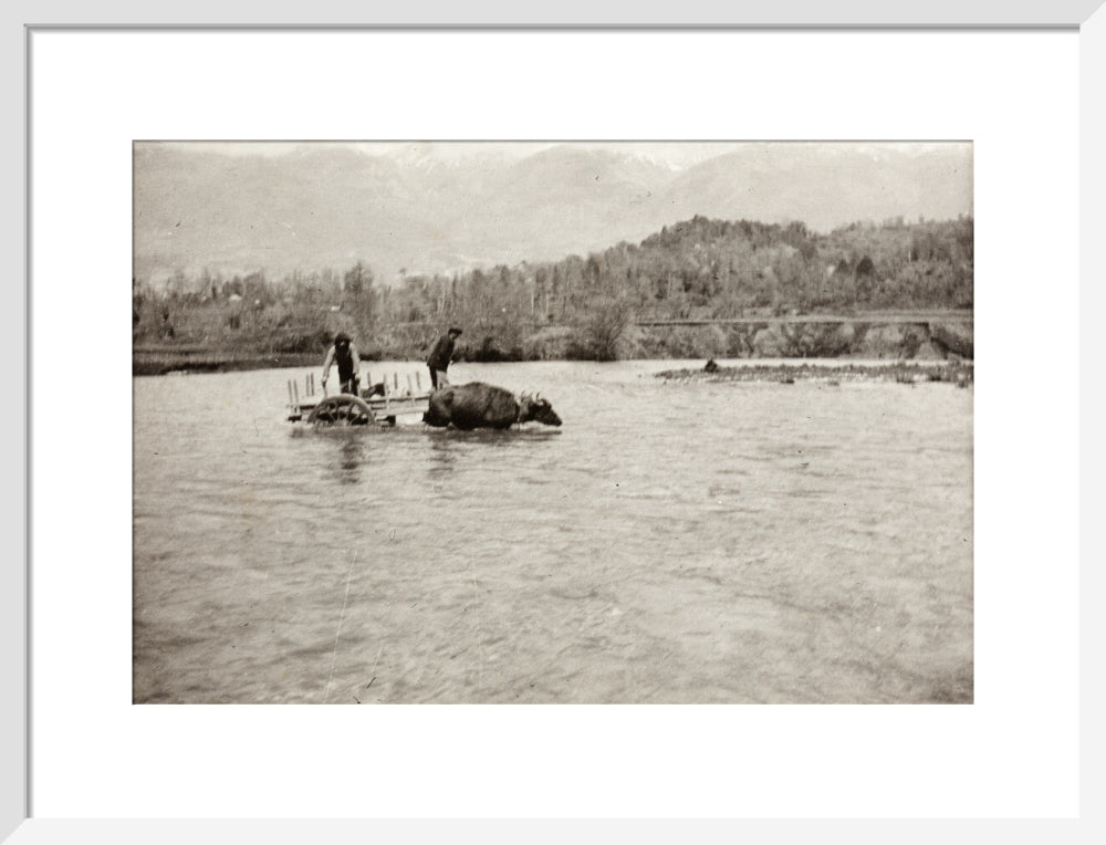 Looking Downstream art print medium white Art Print - Science Museum Shop