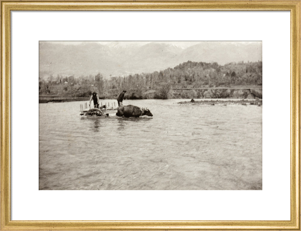 Looking Downstream art print medium gold Art Print - Science Museum Shop