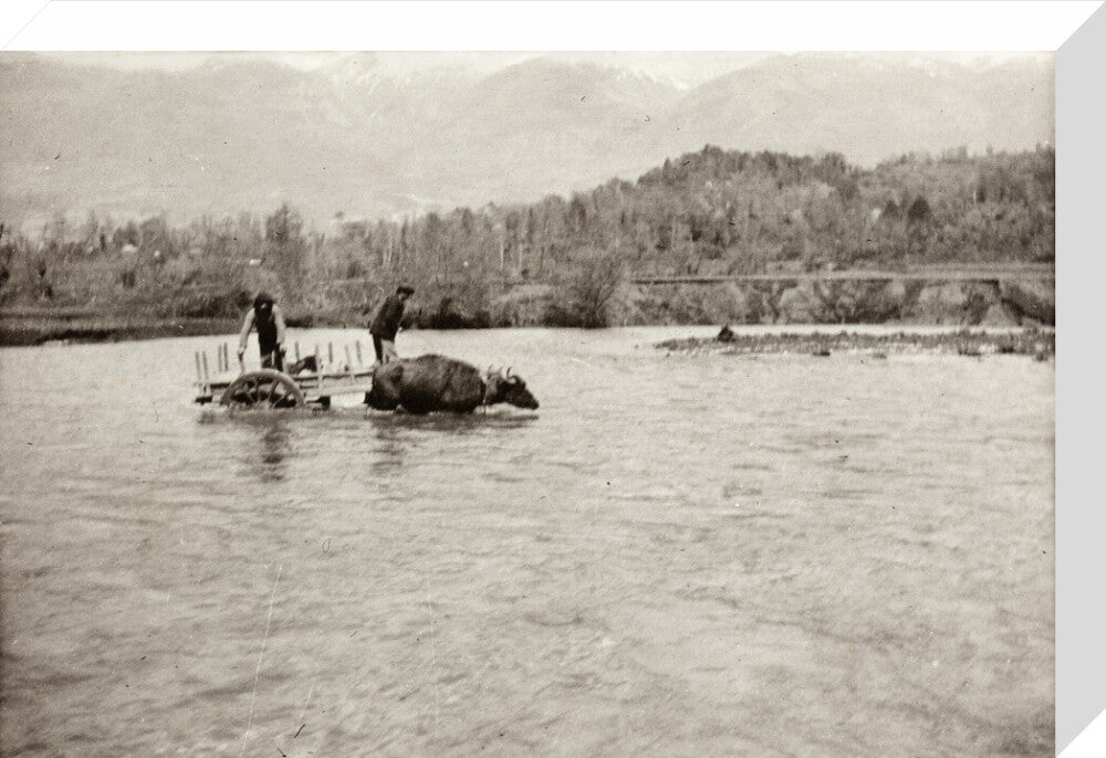 Looking Downstream stretched canvas medium none Art Print - Science Museum Shop