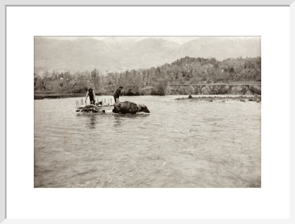 Looking Downstream art print large white Art Print - Science Museum Shop