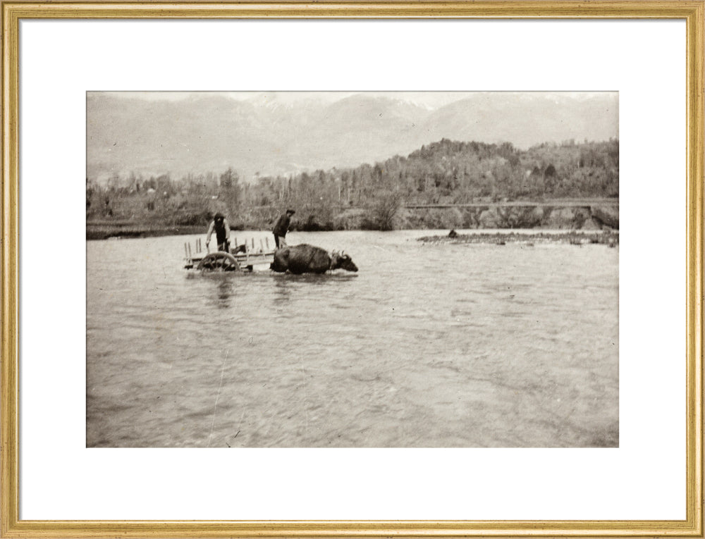 Looking Downstream art print large gold Art Print - Science Museum Shop