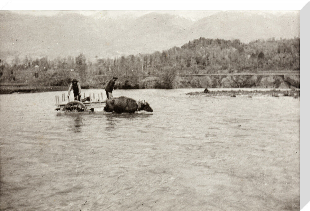 Looking Downstream stretched canvas large none Art Print - Science Museum Shop