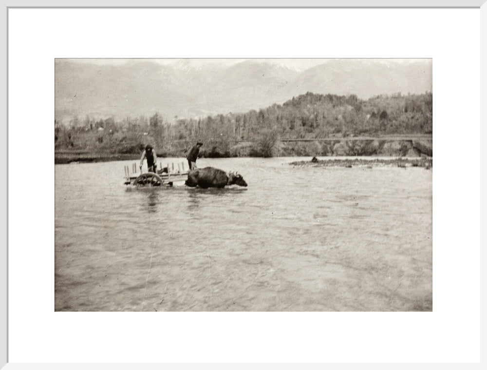 Looking Downstream art print extra large white Art Print - Science Museum Shop