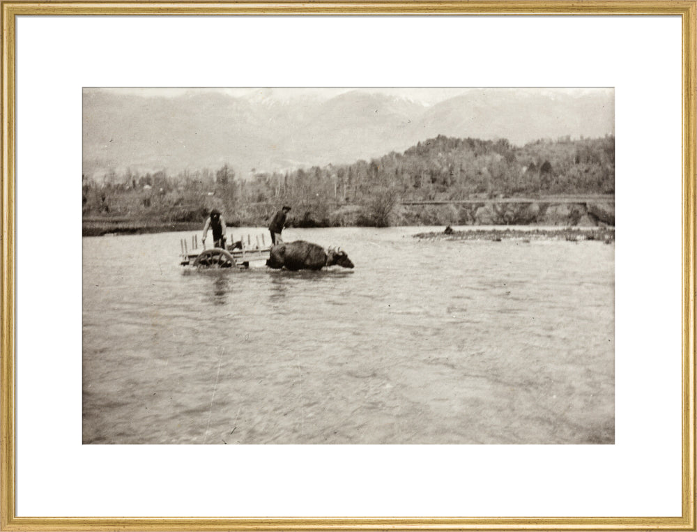 Looking Downstream art print extra large gold Art Print - Science Museum Shop