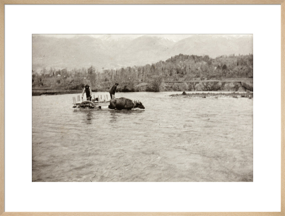 Looking Downstream art print extra large natural Art Print - Science Museum Shop