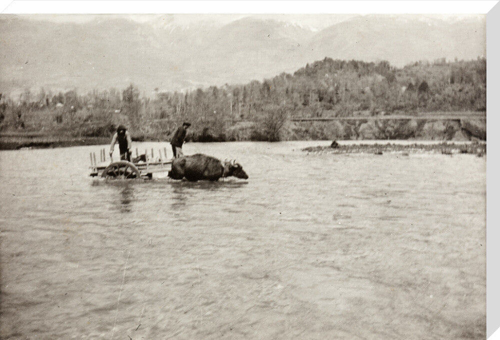 Looking Downstream stretched canvas extra large none Art Print - Science Museum Shop