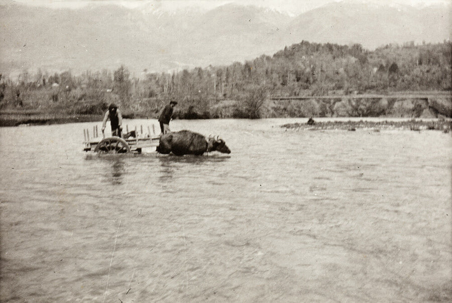 Looking Downstream Art Print - Science Museum Shop