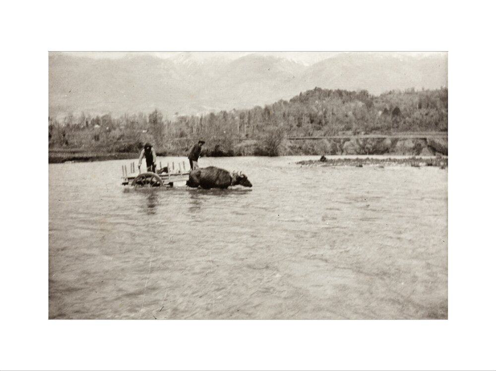 Looking Downstream art print extra large none Art Print - Science Museum Shop