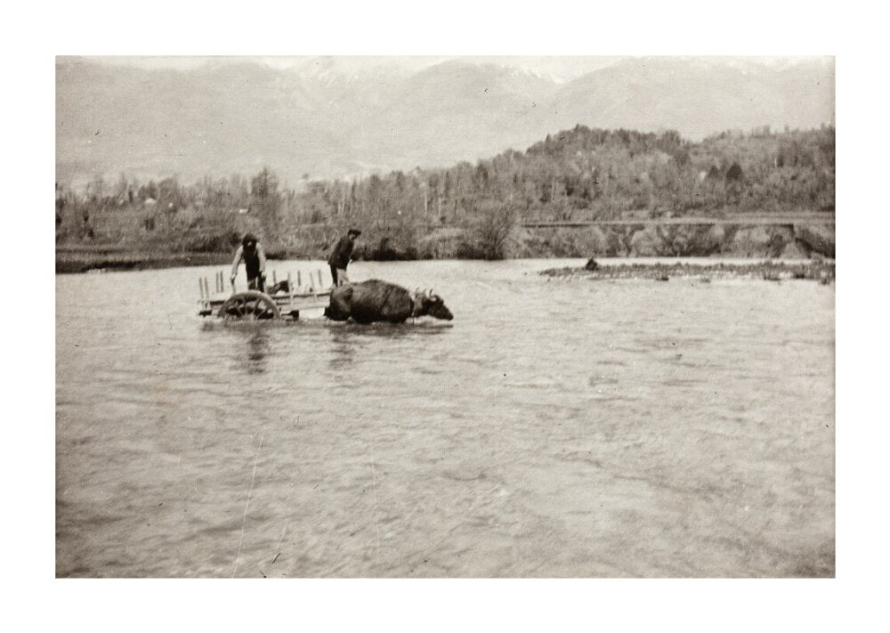 Looking Downstream unstretched canvas extra large none Art Print - Science Museum Shop