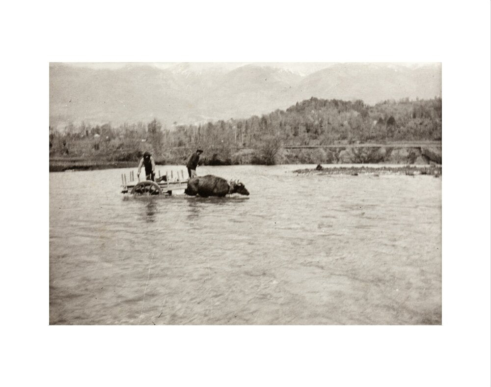 Looking Downstream art print extra small none Art Print - Science Museum Shop