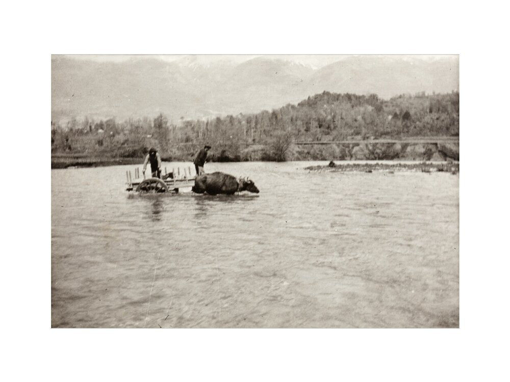 Looking Downstream art print small none Art Print - Science Museum Shop