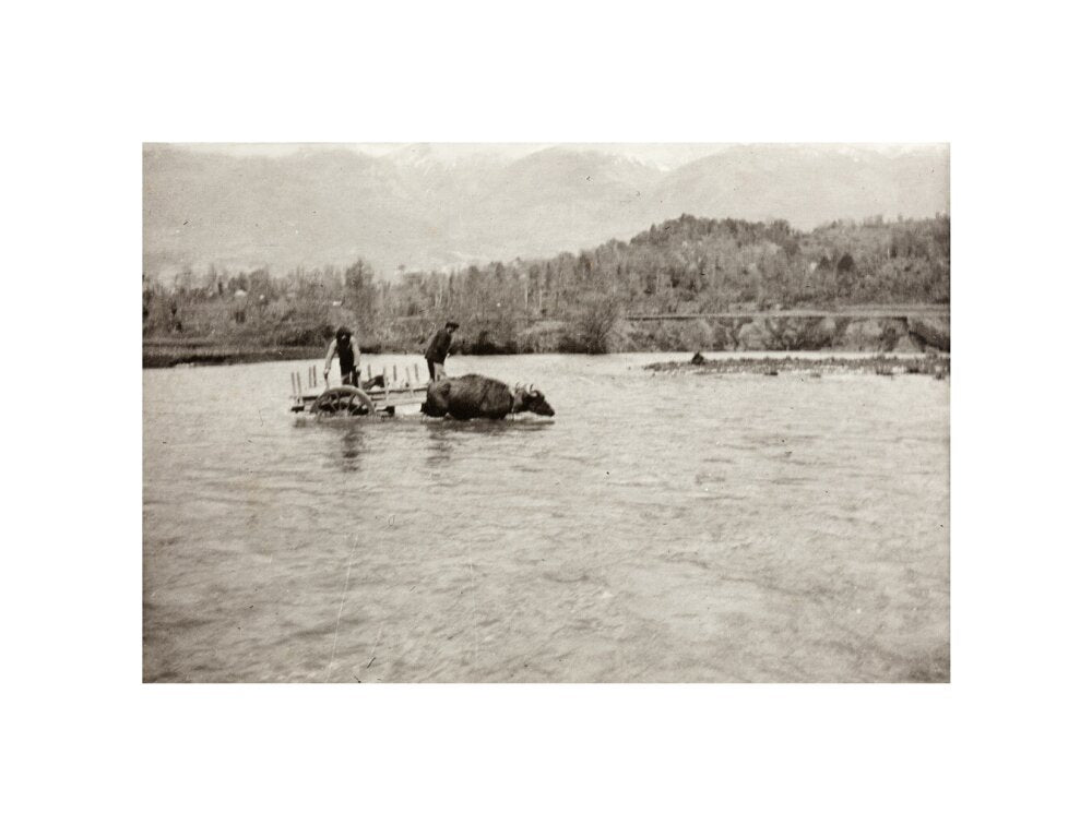 Looking Downstream unstretched canvas small none Art Print - Science Museum Shop