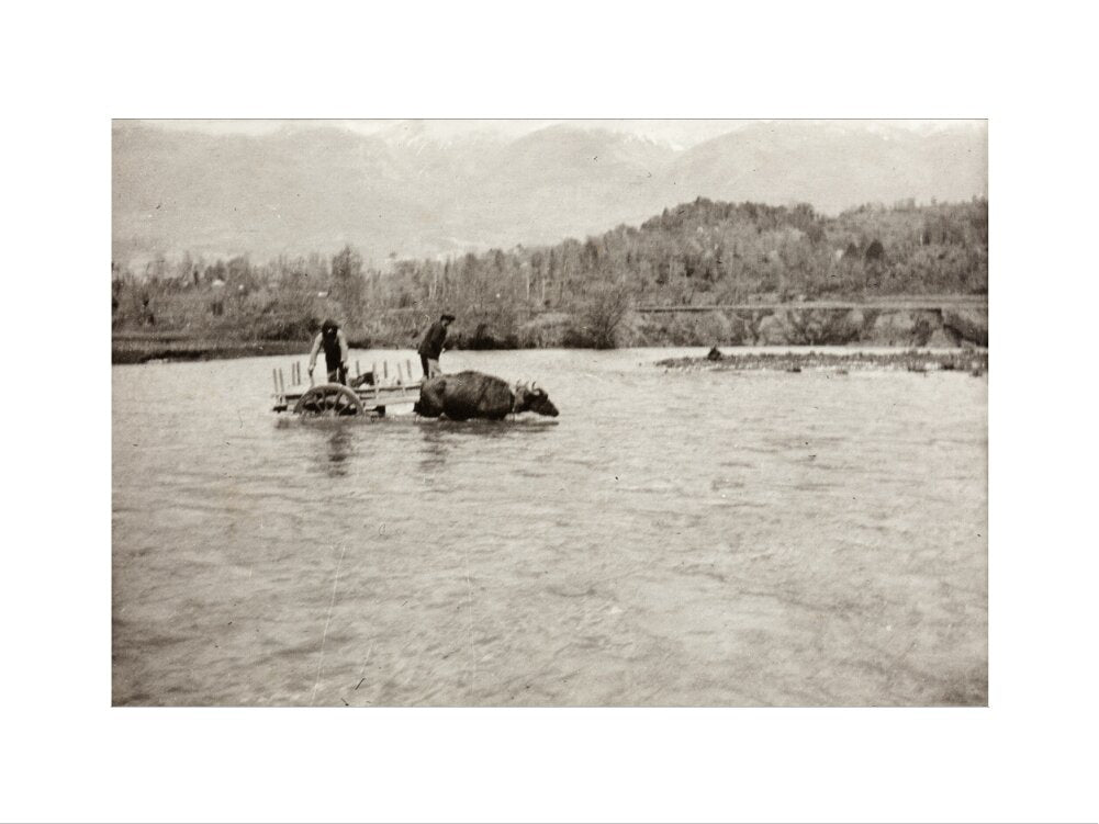 Looking Downstream art print medium none Art Print - Science Museum Shop