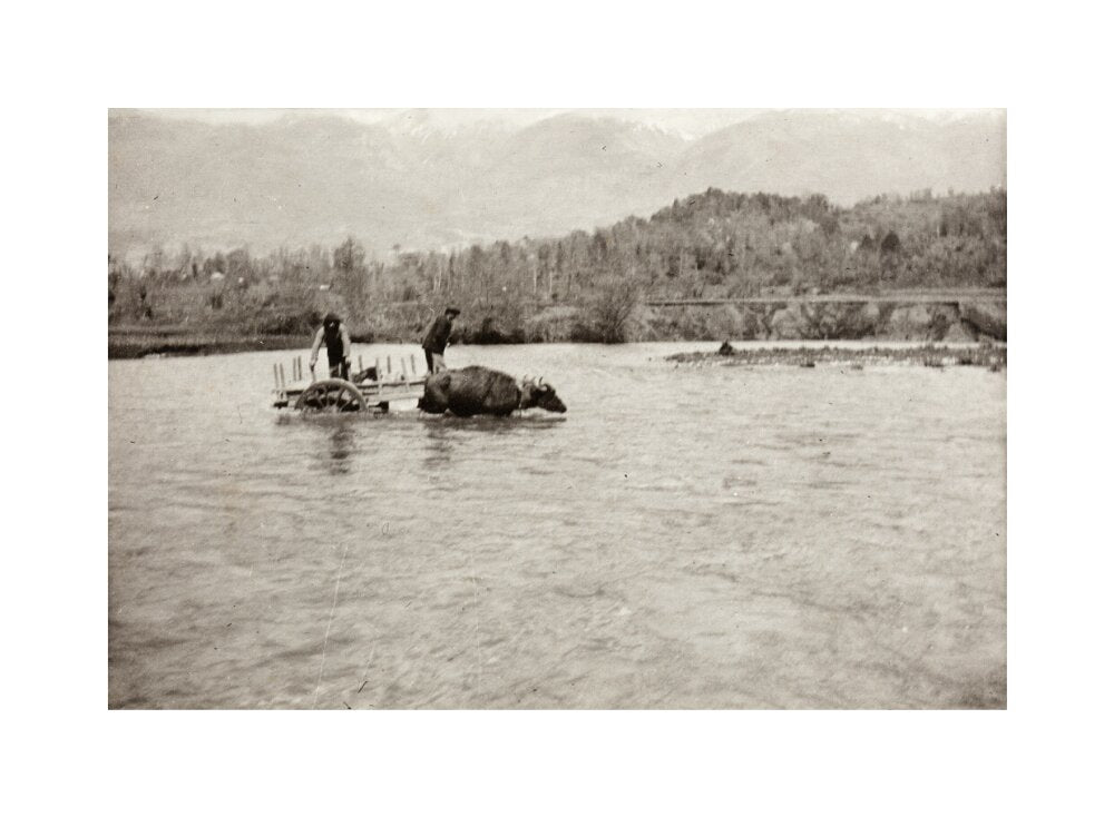 Looking Downstream unstretched canvas medium none Art Print - Science Museum Shop