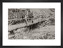 Crossing a Bridge on the way back. art print small black Art Print - Science Museum Shop