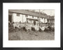 A Flock of Goats at Prince Alexander Oldenburgs Estate near Gagra. art print extra small black Art Print - Science Museum Shop