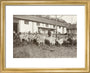A Flock of Goats at Prince Alexander Oldenburgs Estate near Gagra. art print extra small gold Art Print - Science Museum Shop