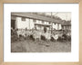 A Flock of Goats at Prince Alexander Oldenburgs Estate near Gagra. art print extra small natural Art Print - Science Museum Shop