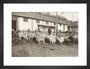 A Flock of Goats at Prince Alexander Oldenburgs Estate near Gagra. art print small black Art Print - Science Museum Shop