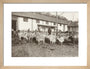 A Flock of Goats at Prince Alexander Oldenburgs Estate near Gagra. art print small natural Art Print - Science Museum Shop